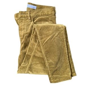 LOFT Velvet Skinny Pants